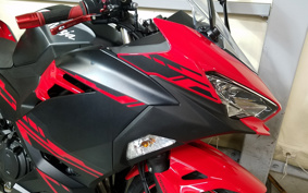 KAWASAKI Ninja 250 ABS EX250P