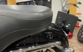 HARLEY FXDLI 2015 GN4