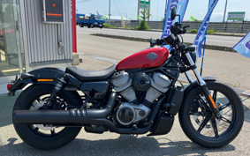 HARLEY  HARLEY RH975 NIGHT  STAR  2024 ZH1