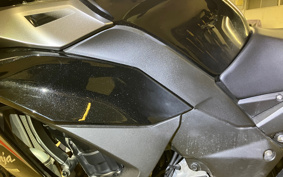 KAWASAKI NINJA 1000 SX 2024 ZXT02K