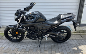 YAMAHA MT-25 RG10J