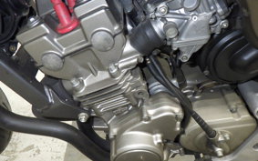 HONDA HORNET 250 2024 MC31