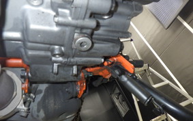 KTM 390 DUKE 2024