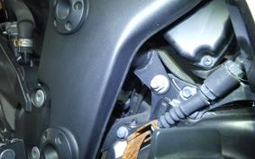 KAWASAKI NINJA 250R EX250K
