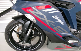 KAWASAKI  NINJA ZX-25R ZX250E