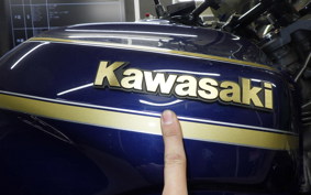 KAWASAKI ZRX1200 D 2016 ZRT20D