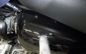 KAWASAKI W800 2023 EJ800E