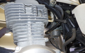 HONDA APE 100 2005 HC07