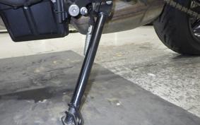 TRIUMPH TRIDENT 660 2024