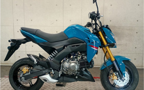 KAWASAKI Z125 PRO BR125H