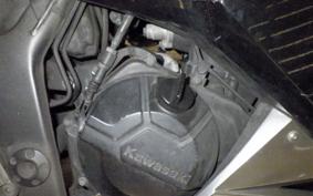 KAWASAKI NINJA 250 ABS 2024 EX250L