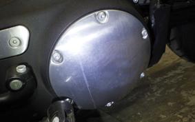 HARLEY XL883N 2019