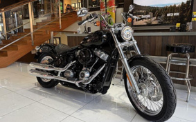 HARLEY FXST1340-1450 2020 BVJ