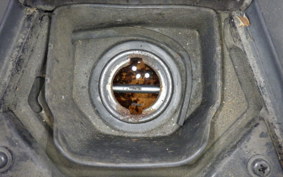 HONDA ZOOMER-X 2005 JF52