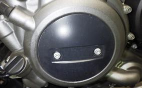HARLEY RH975 2024