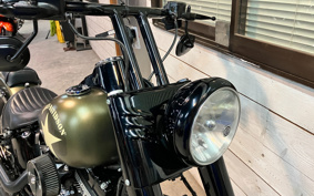 HARLEY FLSS 2016 JS9