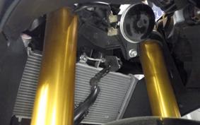 YAMAHA YZF-R25 2017 RG43J