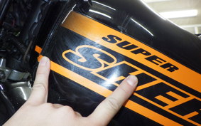 KAWASAKI SUPER SHERPA KL250G