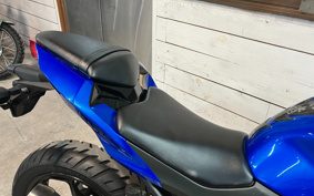KAWASAKI NINJA 250 EX250L