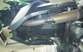 KAWASAKI Z250 SL 2016 BR250E