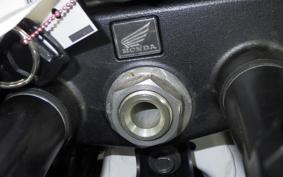 HONDA CRF1100L AFRICA TWIN DCT 2024 SD15