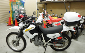 HONDA XL250 DEGREE MD26