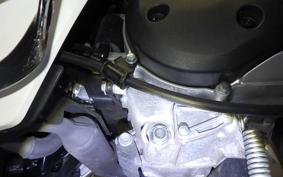 HONDA DIO110-3ﾍﾞｰｼｯｸ JK03