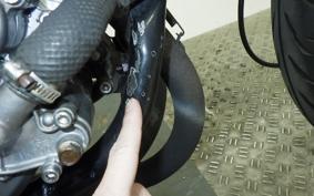 YAMAHA TDR250 2YK
