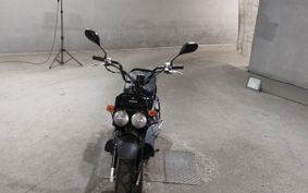 HONDA ZUMAR AF58