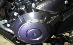 SUZUKI Vｽﾄﾛｰﾑ250A 2022