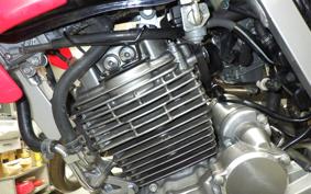 HONDA XR-250 GEN 2 1996 MD30