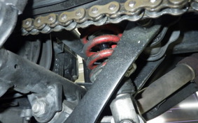 KAWASAKI Z250 2021 ER250C