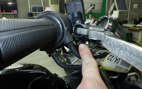 HONDA HORNET 250 MC31