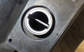 HONDA FORESIGHT EX