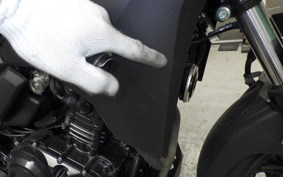 SUZUKI Vｽﾄﾛｰﾑ250 2006