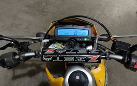 KAWASAKI D-TRACKERX LX250V