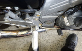 KAWASAKI ZZ-R250 EX250H