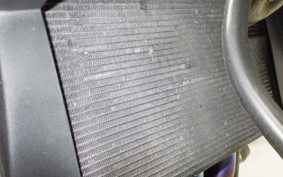 KAWASAKI ZRX1200 D 2013 ZRT20D