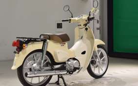 HONDA C110 SUPER CUB