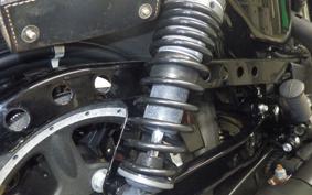 HARLEY XL883N 2016