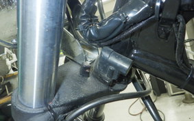 OTHER UNREGISTERED MODEL by BDS250