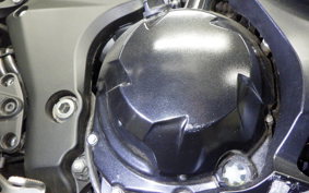 KAWASAKI NINJA 1000 2014