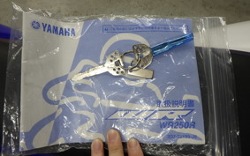 YAMAHA WR250R 1999 DG15J