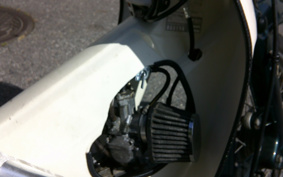 HONDA SUPER CUB50 C50