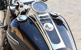 HARLEY FLRT MCC