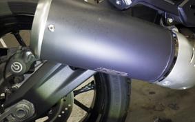 DUCATI SCRAMBLER ICON 2023