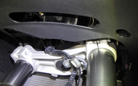 KAWASAKI NINJA 1000 SX 2024 ZXT02K