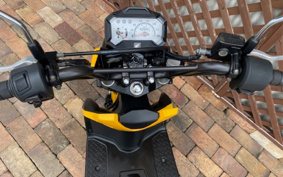 HONDA ZOOMER-X JF52