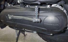 HONDA ZOOMER AF58
