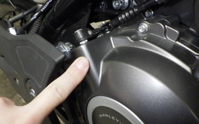 HARLEY X350 2024